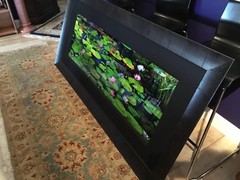 Peter Lik «Awaken» Signed, Limited Edition, Framed Photograph! #89/950 1.5M!
