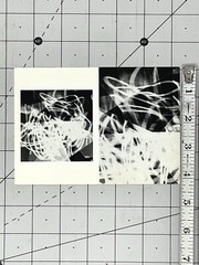 Tenesh Webber Art Announcement Card March 2000 Photography