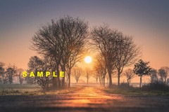 Digital Photo file Sky HD wallpaper earth sunrise dawn SUN virtual postcard jpeg
