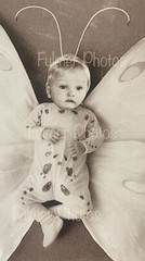Vintage B&W Anne Geddes BUTTERFLY BABY Possible EARLY PHOTOSHOP Type Photo OOAK