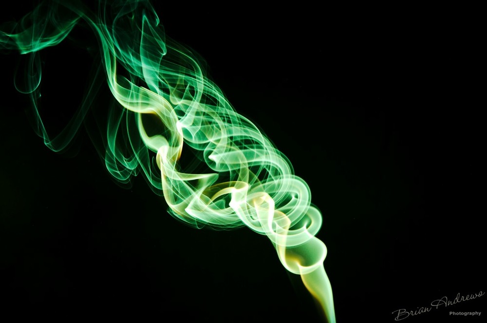 Mesmerizing Macro Photograph – Digital
