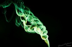 Mesmerizing Macro Photograph – Digital