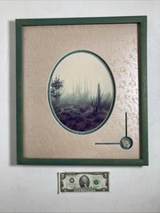 Vintage Original Photography Print Southwestern Saguaro Desert Misty Morning