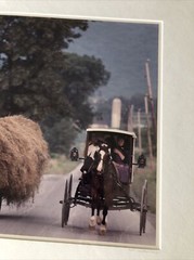 Bill Coleman Amish Children “Wide Load” 4/350 Numbered Framed Photograph