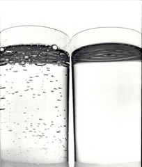 1984 Irving Penn 2 Two Glasses Of Water Study Art Photo Engraving