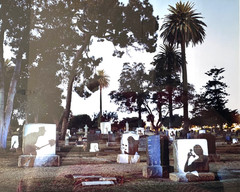 Robert Kawika Sheer «Graveyard Spirits» 25/350 Photo 1999