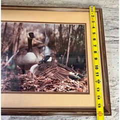 Vintage Framed Canada Geese Print – Rustic Wildlife Wall Art