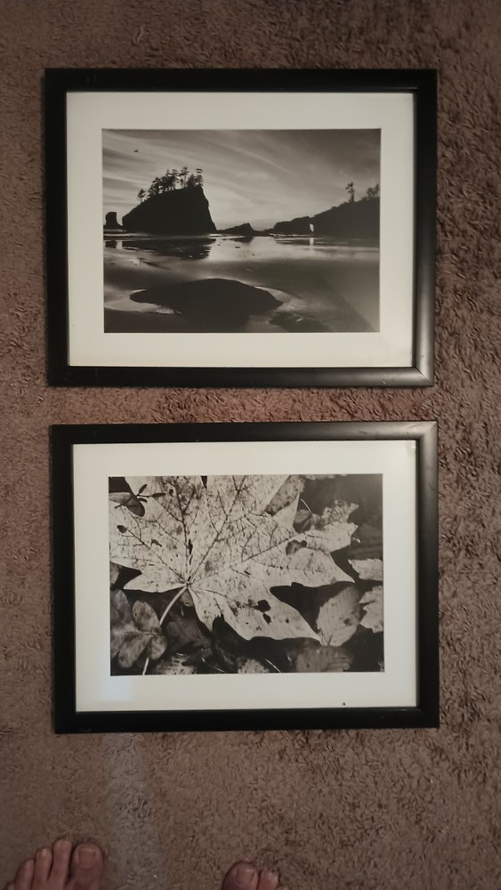 Blk & White Frame Art Wall Prints Lot 2 Sz 15 1/2″ W X 12″ L