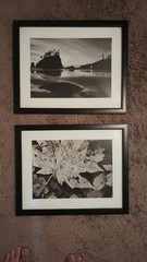 Blk & White Frame Art Wall Prints Lot 2 Sz 15 1/2″ W X 12″ L