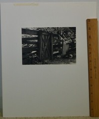 Lot of 3 B&W Photo 7 x 5- mat 14 x 12- Paddock Fence Stream Ivy Country Charm