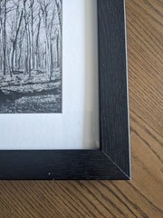 Original Black and White Photography, Nature, Tree, Custom 11×19