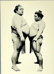 Sumo Wrestlers Art Photo Print Card Fotofolio 4.25”x6” Japan c. 1905