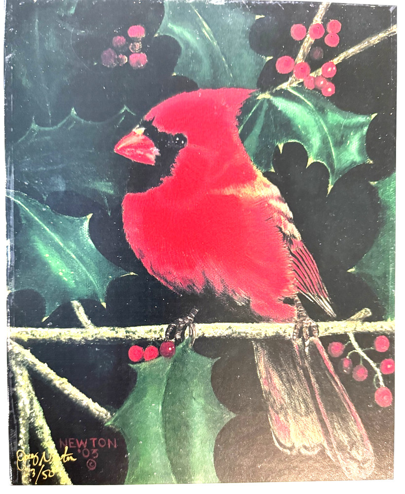 Joey Newton signed 23 of 50 Art Photograph 8×10 Glossy Red Cardinal on Branch B5