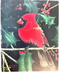 Joey Newton signed 23 of 50 Art Photograph 8×10 Glossy Red Cardinal on Branch B5