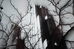 Rare Gary Seidel Signed Photograph Rockefeller Center NYC Winter 1963 20×24″