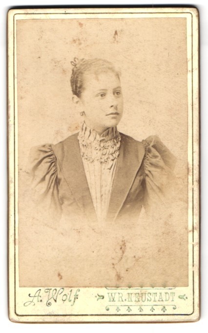 Photograph A. Wolf, WR. Neustadt, Baumkirchnerring 1, portrait of a woman in ele