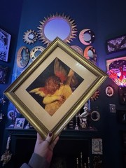 Cherub Playing A Lute 16.5”x13.5” Framed 8×10 Photo