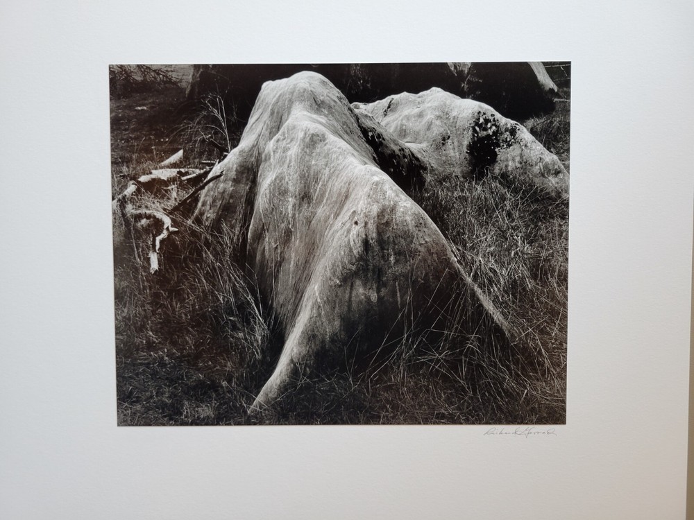 Richard Garrod, black and white photography, Hydraulic Mined Area