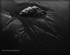 1955 Original PHILIP HYDE Olympic Ocean Strip Beach Starfish Silver Photograph