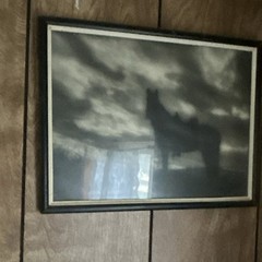 Framed black and white photograph of a siloetted horse. Western photograph.