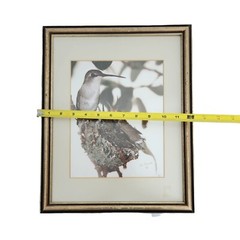Vtg 1981 Framed Art Photograph Hummingbird Bird Nest Artist Signed Ed Brown OOAK