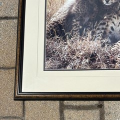 Thomas Mangelsen, Bathtime in Maasailand — Cheetahs, Signed