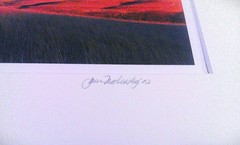 Winter Light, Kansas Flint Hills by James Nedresky Fine-Art Photographs