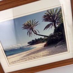 Vintage John Vragel «Sunset Beach» Framed Tropical Palm Tree Photograph Art