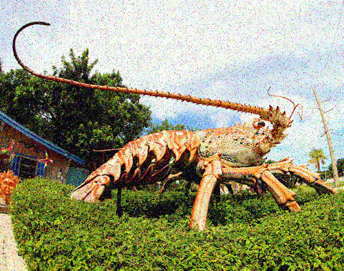 8 1/2 x 11 » HI RES COLOR PHOTO WORLD’S BIGGEST LOBSTER ISLAMORADA FLORIDA 30 FT