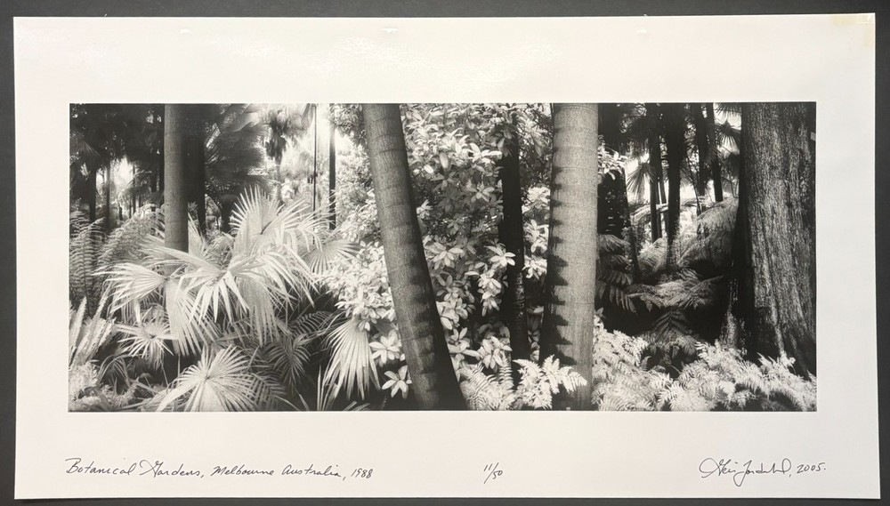 Original GEIR JORDAHL ‘Botanical Gardens Melbourne Australia’ Plants PHOTOGRAPH