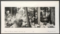 Original GEIR JORDAHL ‘Botanical Gardens Melbourne Australia’ Plants PHOTOGRAPH