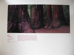 Photo Exhibit Book Iwahashi Takashi The Rockies from Alaska to Mexico 1994-1997