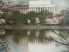 JAPANESE CHERRY TREES BUCKINGHAM WASHINGTON DC HAND COLORED PHOTOGRAPH LANDSCAPE