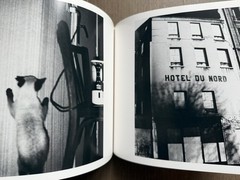 🎈SIGNED! Daido Moriyama – Visions of Japan, 1999, First Ed, Paris SupRARE!