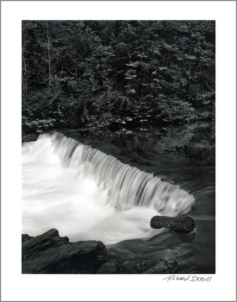 New York City Nature – 11×14” Print – Signed by Photographer Richard Serviss
