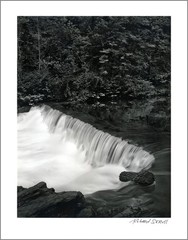 New York City Nature – 11×14” Print – Signed by Photographer Richard Serviss