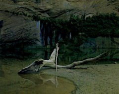 1962 Eliot Porter Glen Canyon River Plunge Pool Hall’s Creek Art Photo Gravure