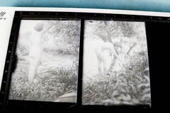 zwei alte Glasnegative – hübsche Frau Aktbilder – nude – nackt – 20-30er Jahre