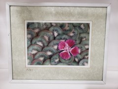 Kiwi Fruit Pink Flower Matted Framed Photograph Wall Decor White Frame 8×10
