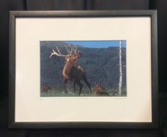 Elk Harem Framed Number 9/500 Photo Print Signed Willie Holdman FoundArtShop