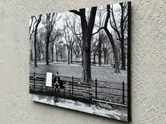 Albert Mollinea «Love is Natural» Fine Art Photo 2/10 — Central Park 2016