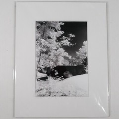 White Mat Photo Landscape Park Infrared Photography Bridge Trees Art Print