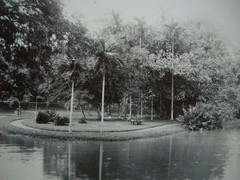 Saigon Vietnam Botanical Garden Botanical 1890 Albumin Photo Ho Chi Minh City
