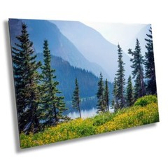 Botanical Wonderland: Summer Wildflowers at Glacier Montana Print