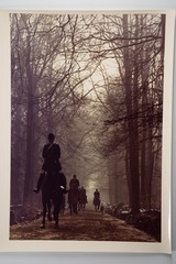 Vintage Analog Photo France Hunting Foxhunting Horse 24X30Cm 1970