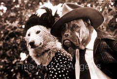 Photo of Dressed Up Dogs!