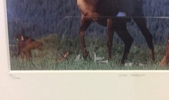 Elk Harem Framed Number 9/500 Photo Print Signed Willie Holdman FoundArtShop