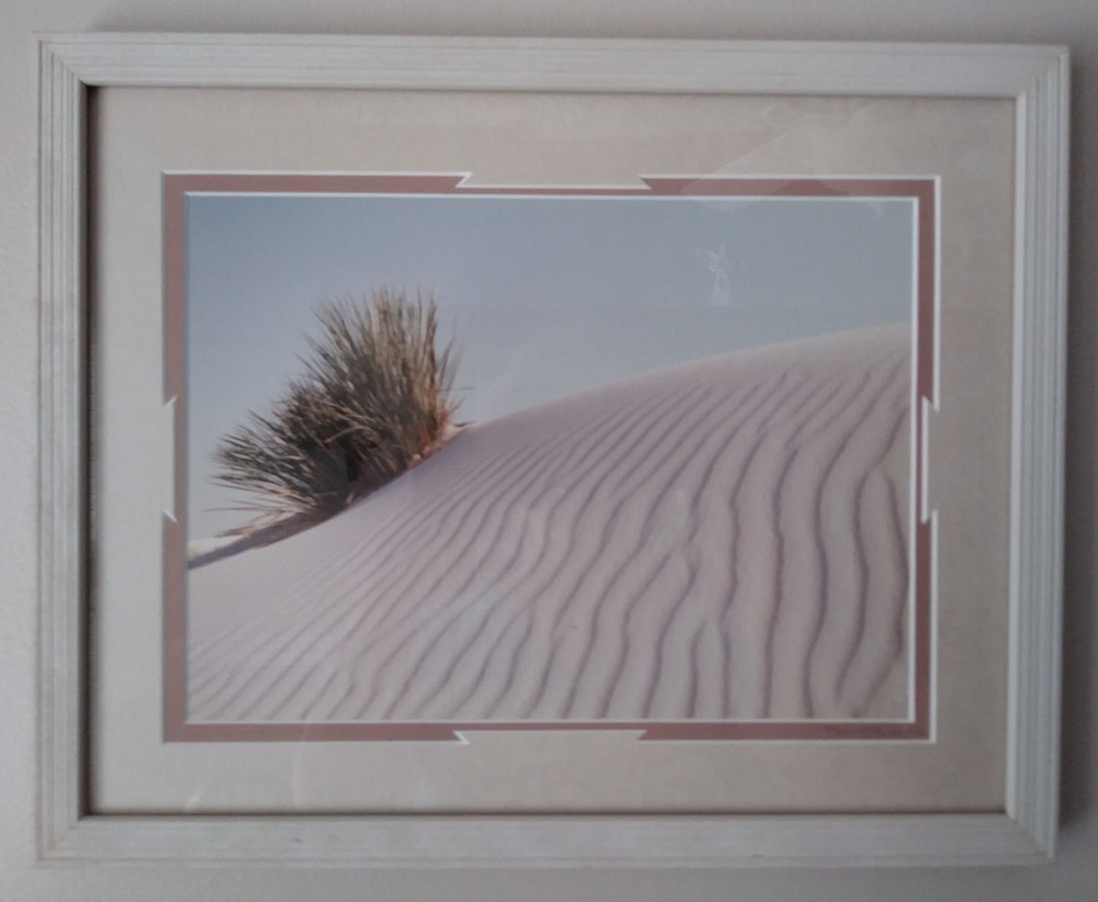 STUNNING SAND DUNES COLOR PHOTOGRAPH ART – FRAMED & DOUBLE MATTED – 15″ BY 12″