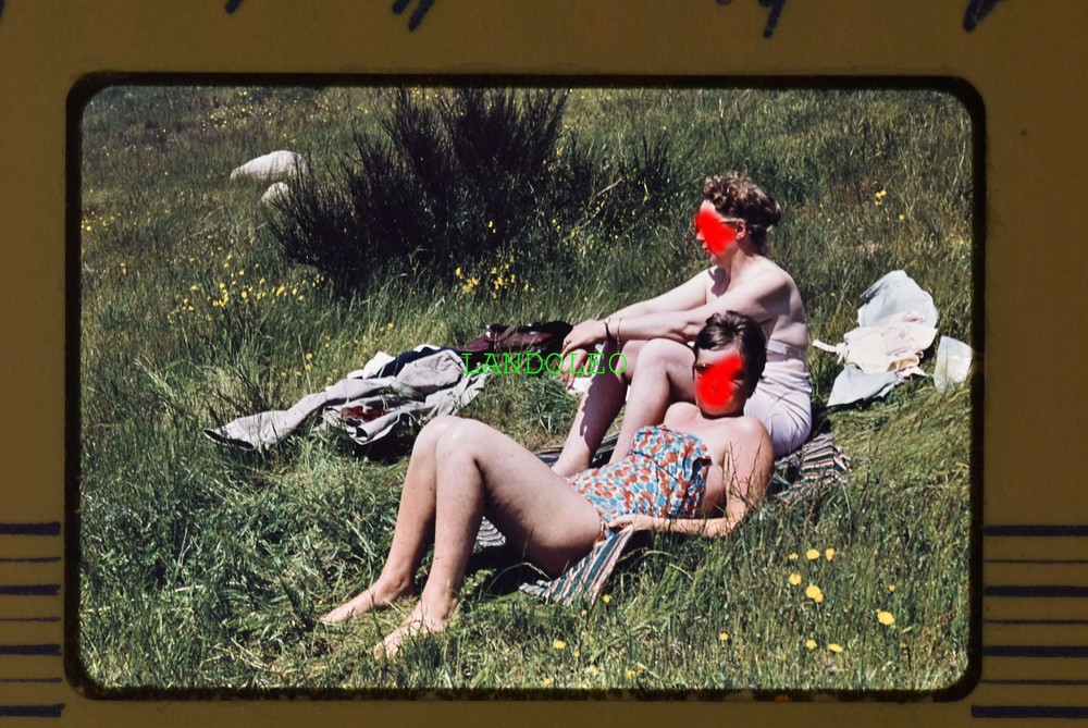 Slide 2 Women on Rügen Swimsuit in the Grass 1962