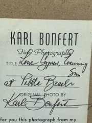 KARL BONFERT handprinted, signed photograph «LONE CYPRESS EVENING” On Wood Frame